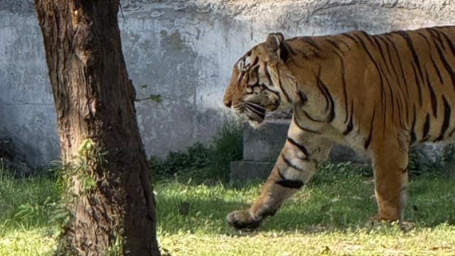 Sariska & Siliserh